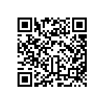 BCS-137-L-D-DE-053 QRCode