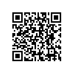 BF016010BE95013BH1 QRCode