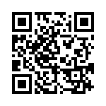 BFC233823684 QRCode