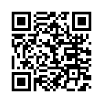 BFC233845333 QRCode