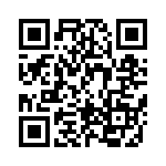 BFC233848006 QRCode