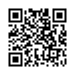 BFC233864563 QRCode