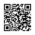 BFC233865333 QRCode