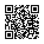 BFC233910104 QRCode