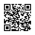 BFC233913123 QRCode