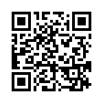 BFC233913394 QRCode