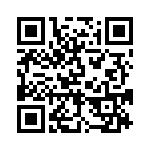 BFC236856333 QRCode