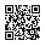 BFC237955393 QRCode