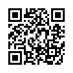 BFC238046393 QRCode