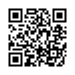 BFC241641304 QRCode