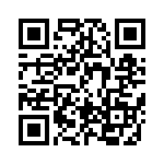 BFC241642404 QRCode