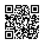 BFC241813304 QRCode