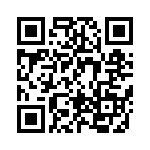 BFC241863004 QRCode