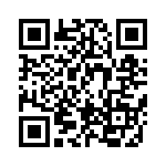 BFC247026333 QRCode