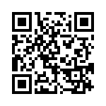 BFC247065333 QRCode