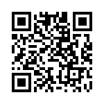 BFC247945304 QRCode