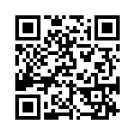 BKT-117-01-L-V QRCode