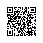 BKT-125-01-L-V-S-P QRCode