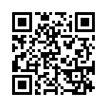 BKT-131-01-L-V QRCode