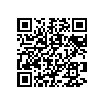 BKT-131-04-FM-V QRCode