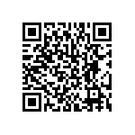 BKT-131-04-L-V-P QRCode