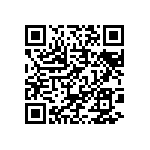 BKT-133-01-F-V-P-TR QRCode