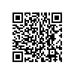 BKT-133-01-F-V-S-A-P QRCode