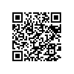 BKT-133-01-L-V-P-TR QRCode