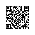 BKT-137-01-L-V-S-A-TR QRCode