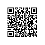 BKT-137-01-L-V-S QRCode