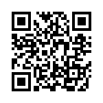 BKT-139-04-L-V QRCode