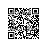 BKT-141-01-F-V-A-P-TR QRCode