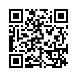 BKT-141-04-L-V QRCode