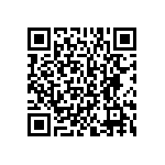 BKT-153-01-F-V-A-P QRCode