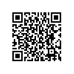 BKT-153-02-L-V-S QRCode