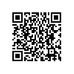 BKT-153-04-F-V-S-A-P QRCode