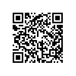 BKT-161-01-F-V-P-TR QRCode