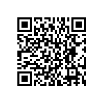 BKT-161-01-L-V-S QRCode