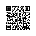 BKT-161-02-L-V-S-P QRCode