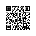 BKT-161-04-L-V-S-P QRCode