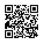 BKT-163-01-L-V QRCode