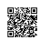 BKT-163-02-F-V-P-TR QRCode