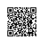 BKT-163-04-L-V-A QRCode