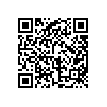 BKT-167-01-L-V-A-TR QRCode