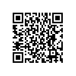 BKT-167-04-F-V-S QRCode