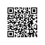 BKT-167-05-L-V-P QRCode