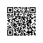 BKT-169-02-L-V-A-P QRCode