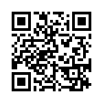 BKT-169-02-L-V QRCode