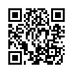 BLANK-I QRCode