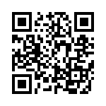 BQ294711DSGT QRCode